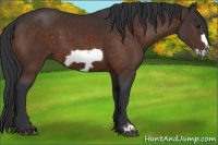 Horse Color:Brown Frame 