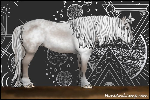 Horse Color:Gray Bay 