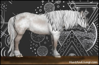 Horse Color:Gray Bay 