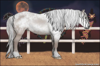 Horse Color:Gray Bay 