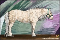 Horse Color:Black Pearl Splash Frame  and Cremello 