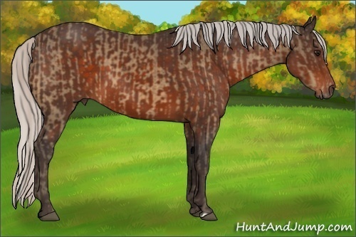 Horse Color:Silver Buckskin  and Silver Brown 