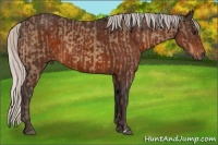 Horse Color:Silver Buckskin  and Silver Brown 
