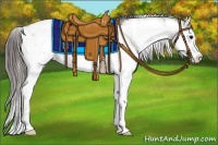 Horse Color:Grullo Sabino Appaloosa 