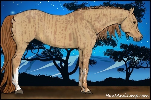 Horse Color:Chestnut and Red Dun