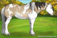 Horse Color:White Spotted Buckskin Dun Splash Rabicano