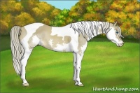 Horse Color:Chocolate Palomino Splash Tobiano 