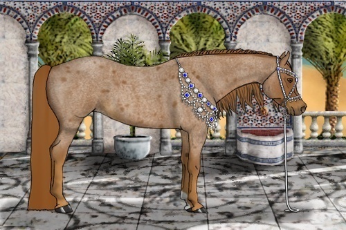 Horse Color:Red Roan 