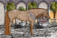 Horse Color:Red Roan 