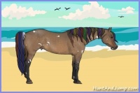 Horse Color:Painted White Spotted Brown Dun Sabino