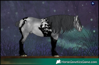 Horse Color:Bay Chinchilla Tobiano 