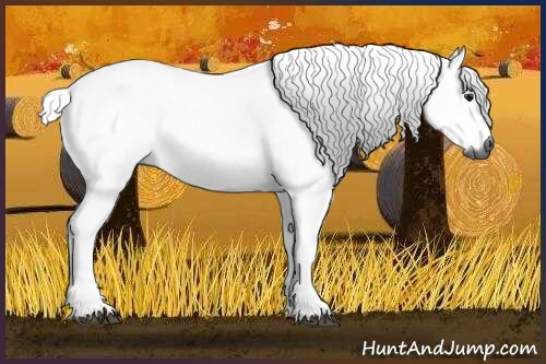 Horse Color:Gray Bay