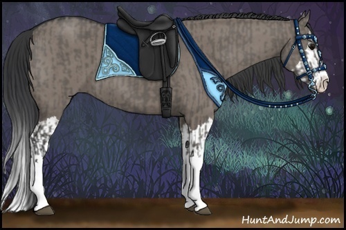 Horse Color:Grullo Sabino Splash  and Grullo Sabino Splash 