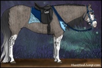 Horse Color:Grullo Sabino Splash  and Grullo Sabino Splash 