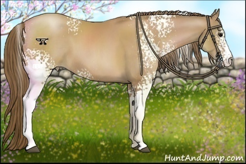 Horse Color:White Spotted Black Pearl 