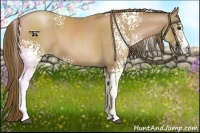 Horse Color:White Spotted Black Pearl 