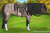 Horse Color:Buckskin Roan Rabicano 