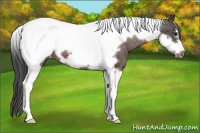 Horse Color:Brown Tobiano Frame Snowcap
