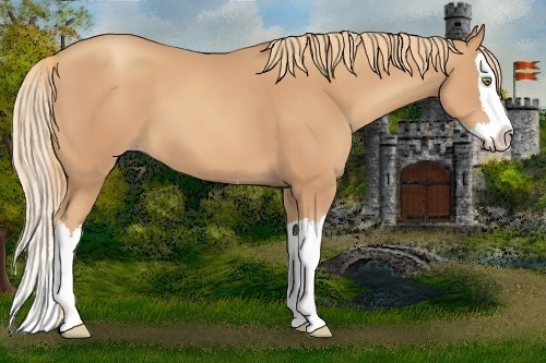 Horse Color:Gold Champagne Splash 
