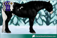 Horse Color:Silver Black Ice Appaloosa 