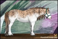 Horse Color:White Spotted Liver Chestnut  and White Spotted Gold Champagne Splash 