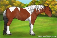 Horse Color:Bay Tobiano Rabicano 