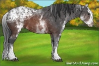 Horse Color:White Spotted Brown Ice Splash 