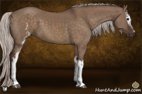 Horse Color:White Spotted Chocolate Silver Brown Dun Sabino