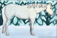 Horse Color:Gold Champagne Chinchilla Ice Splash 