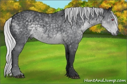 Horse Color:Silver Black Chinchilla 