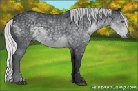 Horse Color:Silver Black Chinchilla 