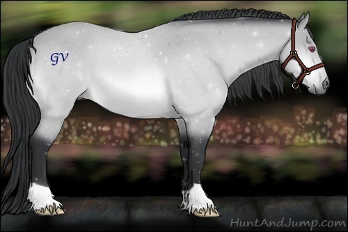 Horse Color:Bay Chinchilla