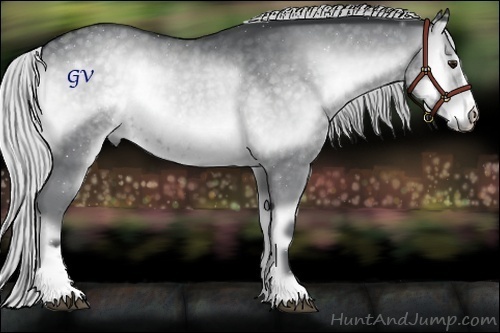 Horse Color:Silver Blue Onyx Chinchilla Sabino 