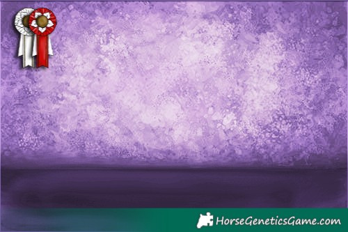 Horse Color:White Spotted Sable Champagne Tobiano Appaloosa 