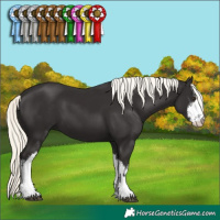 Horse Color:White Spotted Liver Chestnut Mushroom 