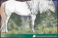 Horse Color:Bay Pearl Dun Sabino Appaloosa