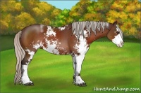 Horse Color:Silver Brown Sabino 