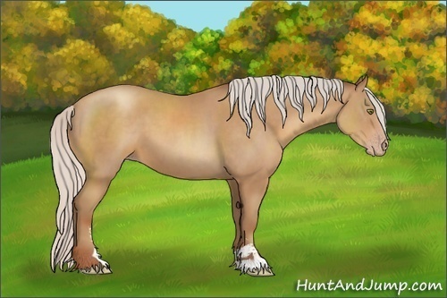 Horse Color:Silver Classic Champagne Sabino
