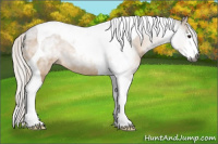 Horse Color:Gray Silver Bay Dun Sabino Tobiano 
