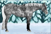 Horse Color:Gold Champagne Chinchilla Ice Splash 