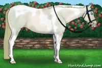 Horse Color:Watercolor Chocolate Palomino Pearl Dun Tobiano 