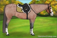 Horse Color:Bay Roan Splash Appaloosa 