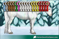 Horse Color:Gold Champagne Chinchilla Ice Mushroom Splash 