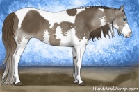 Horse Color:Liver Chestnut Splash Tobiano 