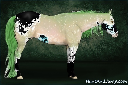 Horse Color:Watercolor Amber Champagne Sabino Appaloosa 