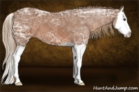 Horse Color:Chestnut Ice Splash 
