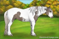 Horse Color:Silver Black Sabino Tobiano