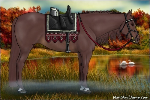 Horse Color:Chocolate Brown 