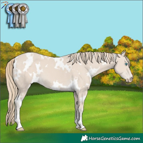 Horse Color:White Spotted Smoky Creme 