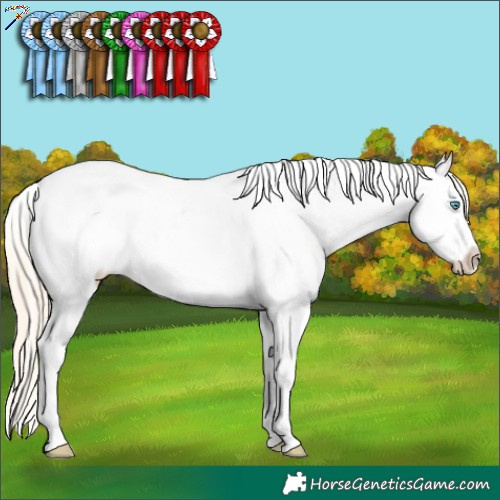 Horse Color:Smoky Creme Dun Near Leopard 
